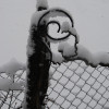 web-2012-Moosach-0083.jpg