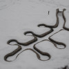 web-2012-Moosach-0195.jpg