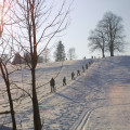 Gemütliches Skifahren in Moosach.jpg