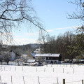 Winter in Falkenberg (3).JPG