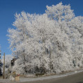 Winter in Falkenberg (1).jpg