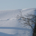Winter in Falkenberg (7).jpg