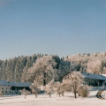 Winter in Schattenhofen.jpg