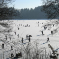 Wintertag am Steinsee (2).jpg